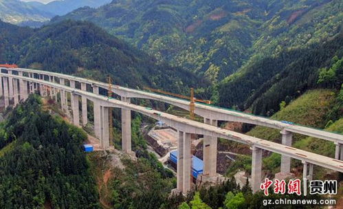 贵州雷榕高速公路A6标工程T梁架设突破700榀